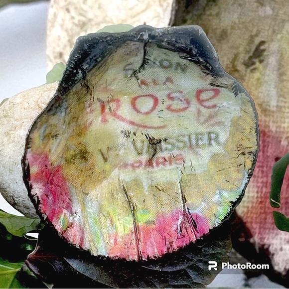 Small Vintage Print Sea Shell Trinket Decor - Picture 5 of 5